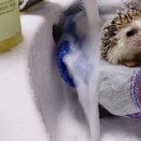 방배선진유통 이미지