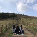 마음스테이 이미지