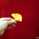 한적2길 이미지