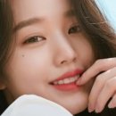 핑크래디시