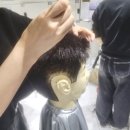 빈염색방 | 구성역이용사학원 바버샵,염색방 창업방법 알려주세요!
