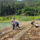 거제시농업기술센터 이미지