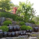 나루터 펜션 이미지