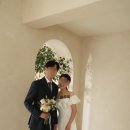 W24. 웨딩사진 보정 사설업체 선정: 무료 샘플 후기(더데이무드, 더블유제이, 호랑희)