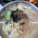 장금100세 셀프건강 | 대곡동 칼국수 맛집 100세 손칼국수 가성비 최고