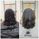SOHO미용실 | 일산 킨텍스역 미용실 소호 곱슬머리 전문 1인미용실 잘하는 곳 찾았다