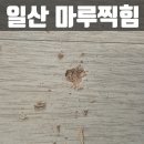경상마을아파트 | 일산 마루찍힘 이사전 빠른방문으로 해결한 후기