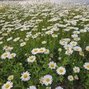 한라시티부동산공인중개사사무소 이미지