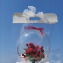 디어퐁퐁 이미지