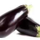 토비푸드