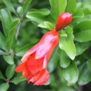 (구)영주도립도서관 이미지