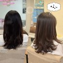 지주 헤어 살롱 | [내돈내컷] 대전유성구 지주헤어살롱 솔직 후기