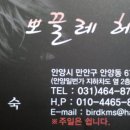 뽀끌레헤어샵
