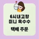 삼기흑찰옥수수영농조합 | 6시내고향 곡성 미니 흑찰옥수수｜택배 주문 ｜전남 특산물