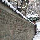 H8079 이미지