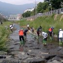 가음정천 이미지