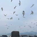 수광호 이미지