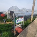 김상배농장 이미지