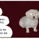 우리집 이미지