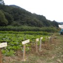 스테이 촌 이미지