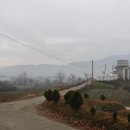 판관오리 이미지