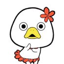 벨라헤어 이미지