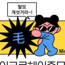 마이크로헤어증모 이미지