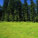 여가,취미 이미지