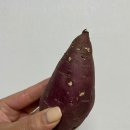 봉선청과
