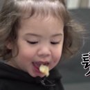 프리모바일 이미지