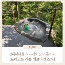 아이랑 국내 여행 제천 포레스트 리솜 : 해브나인 스파