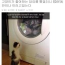 신기이불 이미지