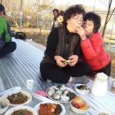 김영기 농장 이미지