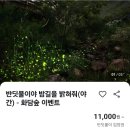 반딧불문구