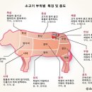 와인앤스테이크 이미지