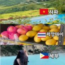 한라건기 | 2월 3월 동남아 여행지 추천 베트남 태국 필리핀 관광지