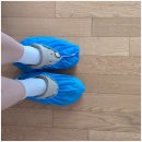 하나크린 | 김포시 포장이사 영구크린 70호점 지인 후기 보니 역시 믿음직스럽네요!