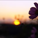 구불7길(신시도길) 이미지