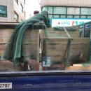 부산밧데리 이미지