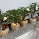 목련모자원 이미지