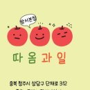 따옴과일 - 청주시 상당구 용암동 | 따옴과일