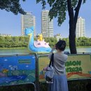 [중국 상하이] 대형마트 따룬파 쇼핑 추천 - 을 빙자한 마트쟁이의 탐방기 ① 공간 편