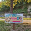 인천목장 이미지