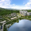 숲속의아침3 이미지