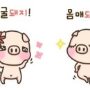 고래싸움에등터진아이 네이버블로그