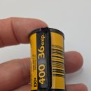 F9 | 코닥 울트라 F9 현상 후기 | 울트라맥스 400 결과물 &amp;amp; 강릉 여행 필름사진