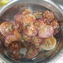 시온수산