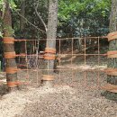 유아동네숲터 이미지