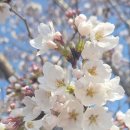 천안우리요양병원 | 천안노인복지, 부모님의 하루가 다시 의미를 찾기까지