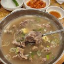 고집센 그집갈비탕 (상주점) | 울산 갈비탕 맛집 대현동 야음동 밥집 고집센그집갈비탕 내돈내산 후기